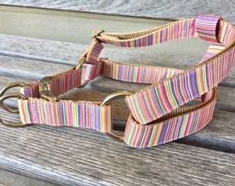 Step-in Dog Harness, Choose Your Style, 1" Wide Dog Harness, Medium or Large Breed Dog Harness