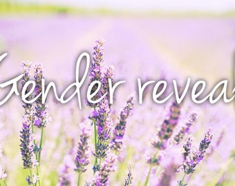 Gender Reveal Page Baby Book