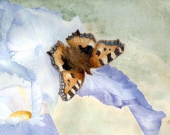 Butterfly IRIS purple and Brown, original watercolor painting wall decor
