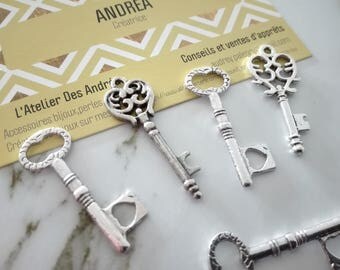 Set no. 8 ☆ / x 5 silver metal key / shapes mixtes☆