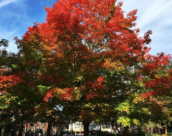 Changing Colors
