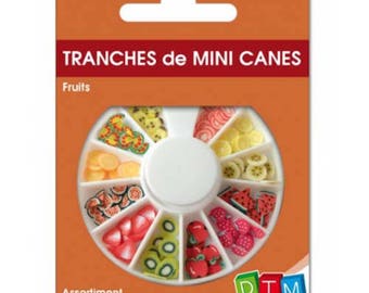 Mini sliced canes fruit DTM