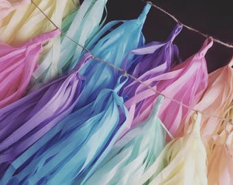 PASTEL RAINBOW / tissue paper tassel garland / nursery decor / rainbow decoration / easter / birthday banner / pastel decorations / unicorn