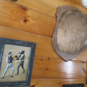 Buyer photo John Hawley, who reviewed this item with the Etsy app for Android.