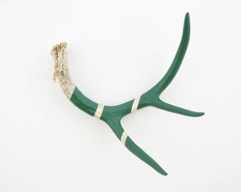 Painted Antler - MEDIUM - Forest Green Monochromatic - Taxidermy and Curiosities