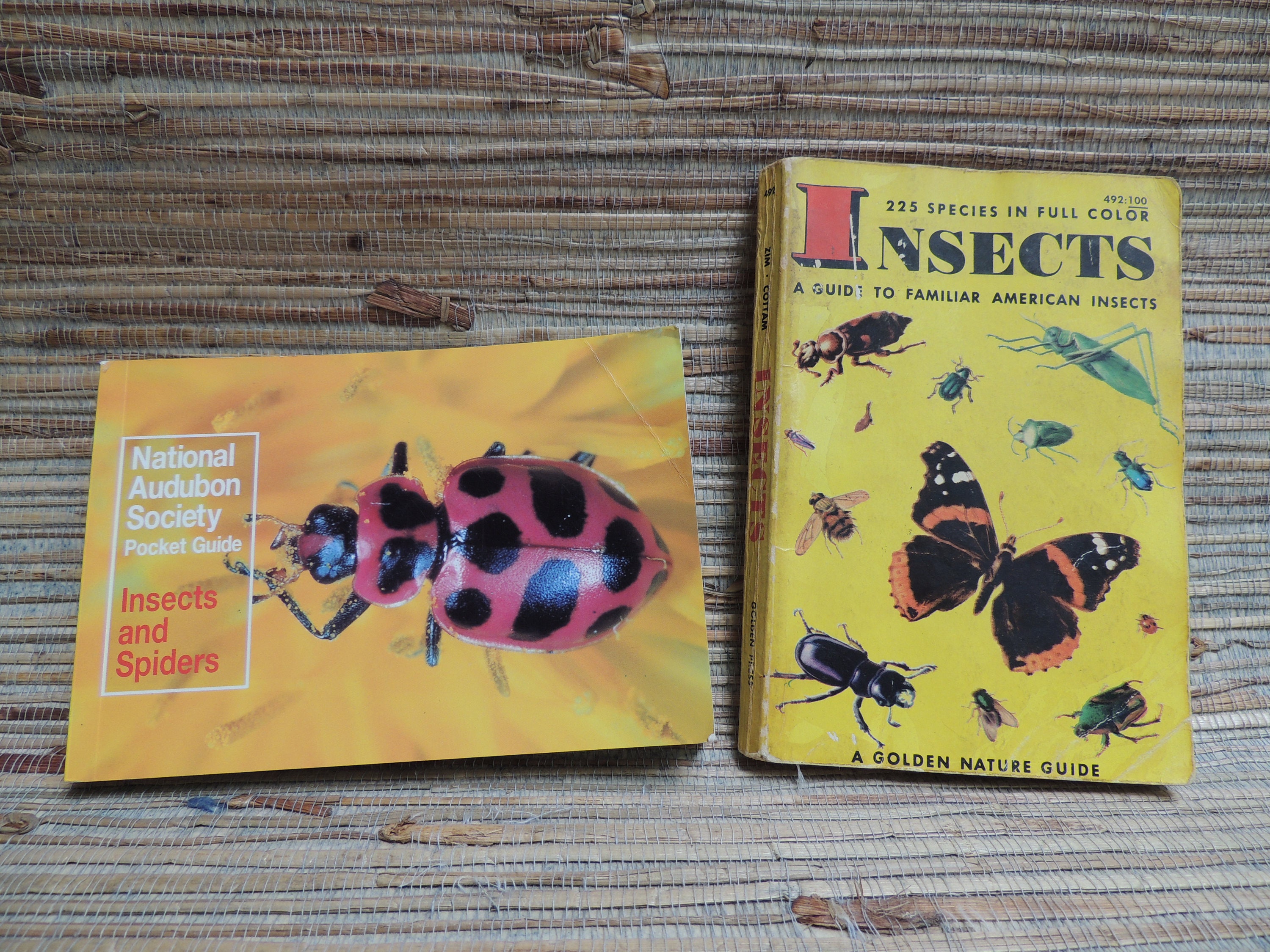 Vintage Pocket Size Insect Guide Books National Audubon