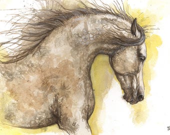 Arabian horse, equine art, horse portrait, equestrian, original watercolor painting