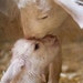 Vegan for life