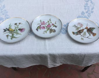 Set of three Royal Halsey bird plates