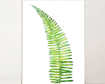 thumbnail image 2 of Spruce Up Your Space With These Fern Tree Leaf Vinyl Decals! Pack Of 3, Perfect For Walls, Windows, Or Anywhere. Fern, Pine, Flower Silhouette. 2 of 4