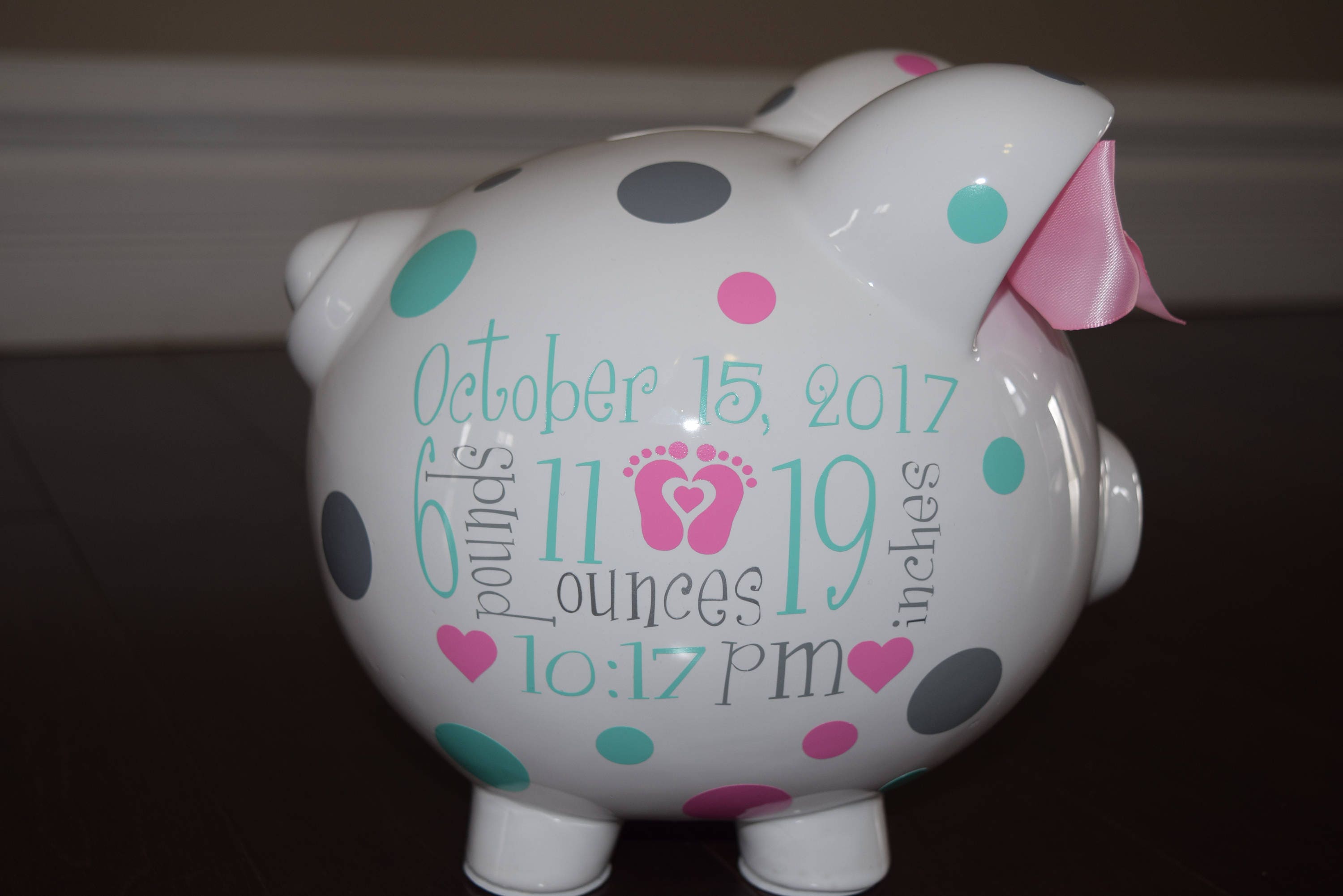 Personalized Piggy Bank Name and Birth Information