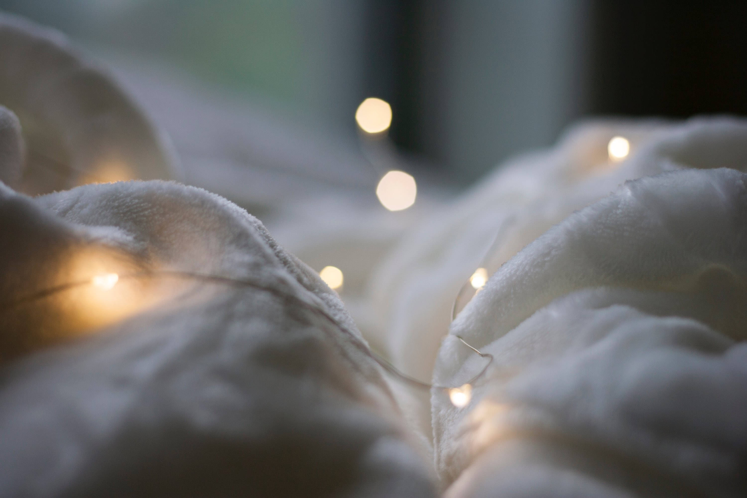 SALE Fairy Lights Bedroom Hanging Lights Indoor String