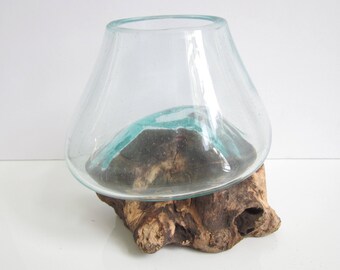 Molten Glass on Driftwood Base-7"x7"-Air Plant Terrarium-Fish Bowl-Eco Planter-Hand Blown Terrarium Glass-Driftwood Decor-Unique Gifts