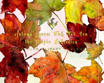 Fall Clipart, Woodland clipart, Autumn leaf clipart, hand painted clipart, watercolor clipart, fall leaves clipart, fall leaf clipart
