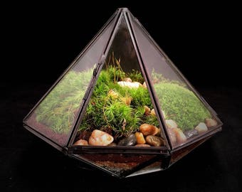 Moss Terrarium, Geometric Terrarium, Terrarium Gift, Diamond Terrarium, Desktop Plant, Industrial Decor