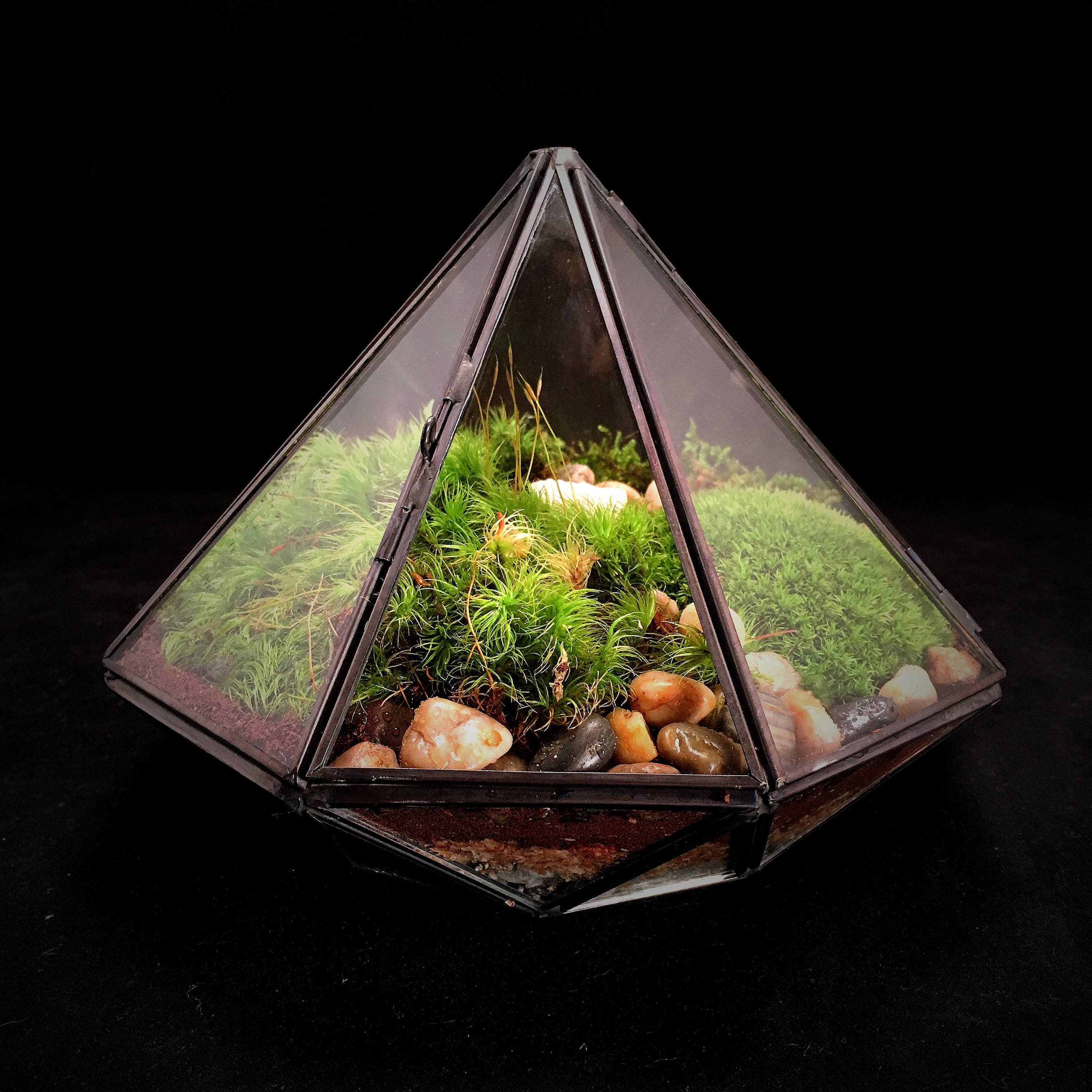 Moss Terrarium Geometric Terrarium Terrarium Gift Diamond