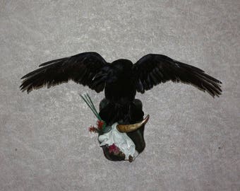 stuffed ravens
