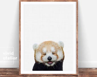 Red Panda Print, Nursery Art, Animal Prints, Baby Animals, Forest Animal, Woodlands Animal, Nursery Art Decor, Animal Photography, Download