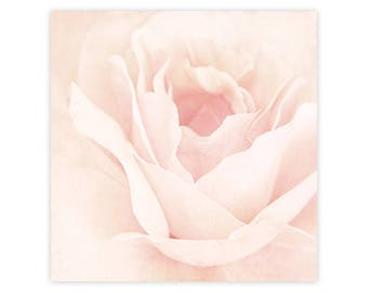 Shabby Chic Floral Art, Shabby Chic Flower Wall Art, Rustic Bedroom Wall Decor, Modern Flower Wall Decor, Rustic Flower Art, Rose, Blush
