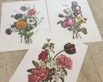 Vintage popular gardening 1972 prints
