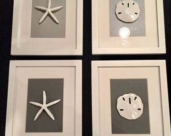 Starfish and Sand Dollar Art