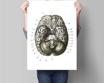 eidetic memory definition