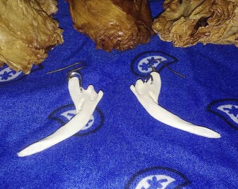 Opossum jaw bone earrings. Oddity jewelry. Bone jewelry. Opossum jaw bone dangle earrings.
