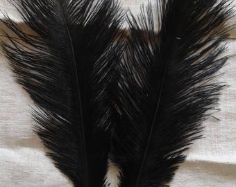 set of 2 black ostrich feathers