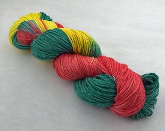 Hand Painted DK Weight 75/25 Superwash Merino and Silk Yarn - 230 yards - Spring Feilds