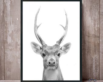 Deer Print, Deer Antlers, Deer Wall Art, Nursery Deer Decor, Deer Black and White, Animal Print, Deer Poster, Kids Room Decor, Deer Photo