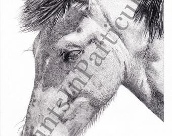 Horse drawing | Etsy