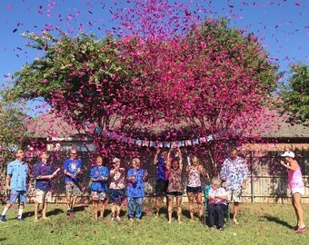 XL Gender Reveal Confetti Cannon - Fast Shipping