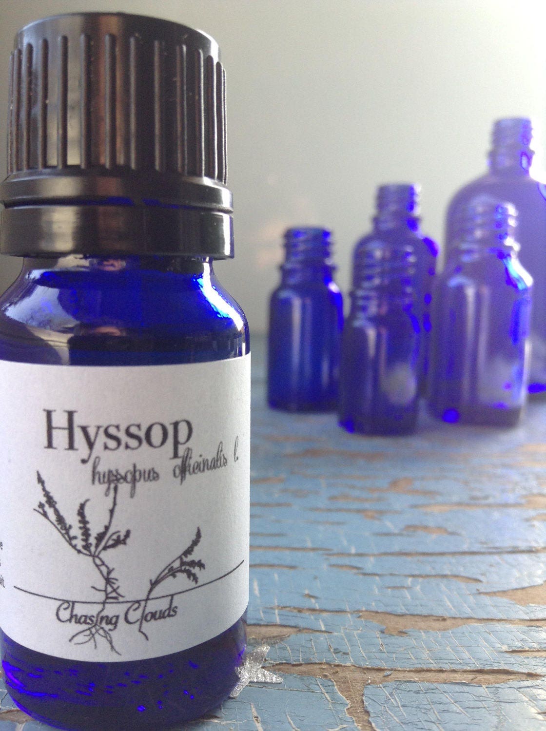 Hyssop Essential Oil 10ml Holy Oil Essential Oils Pure