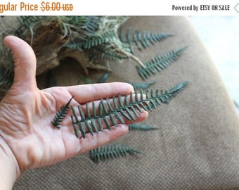 Save25% Ferns-REAL Preserved Coral ferns-20+ Green ferns in assorted sizes-invitations-Dried Floral-Boutonnieres