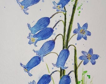 Bluebells