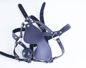 blindfold harness and ball gag