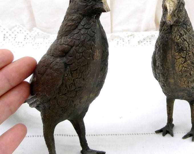 Pair of Antique Bronze Pheasant Sculptures, 2 French Cast Metal Patina Bird Statues, Animal Figurines, Wildlife Art from France