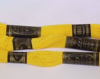 SKEIN NO. 5165 GT YELLOW DARK MOULINE 8 M