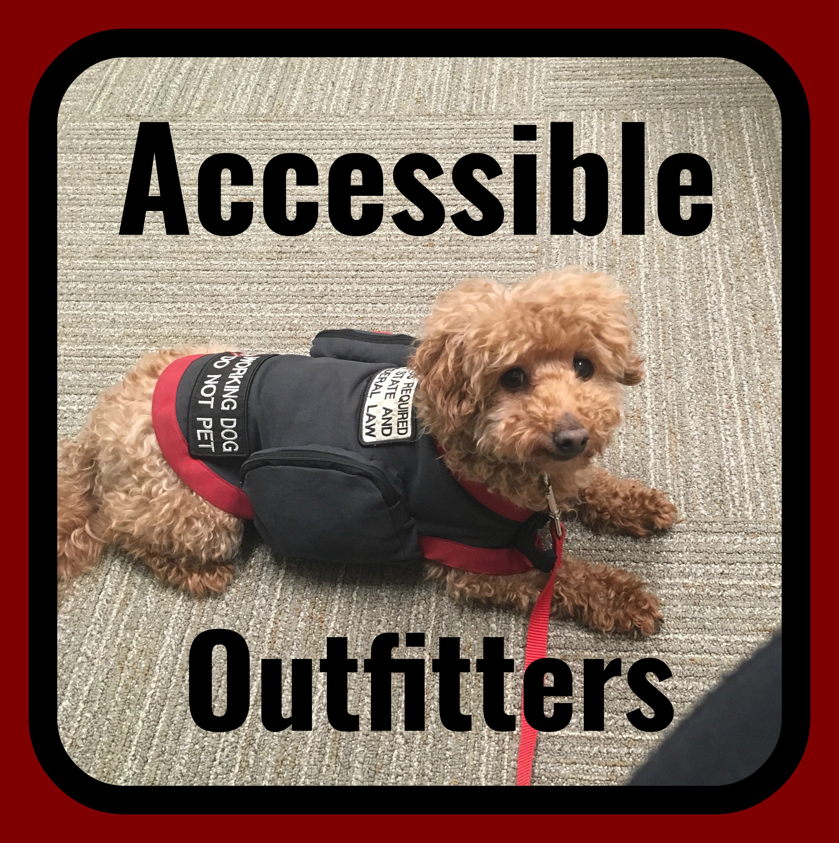 Custom Vest with Pockets Service Dog Vest Small Service Dog
