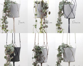 Plant hangers in different colors & sizes // modern macrame hanging flower pot planter waxed cotton kitchen living room vase basket flowers