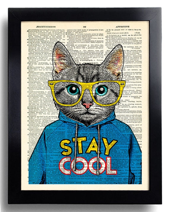  Cool  Cat  Poster STAY  COOL  Quote Art Print Cat  Glasses Wall
