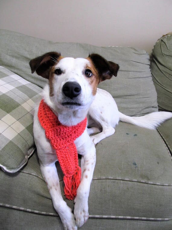 Coral dog scarf/ scarf for tiny small medium large dogs/