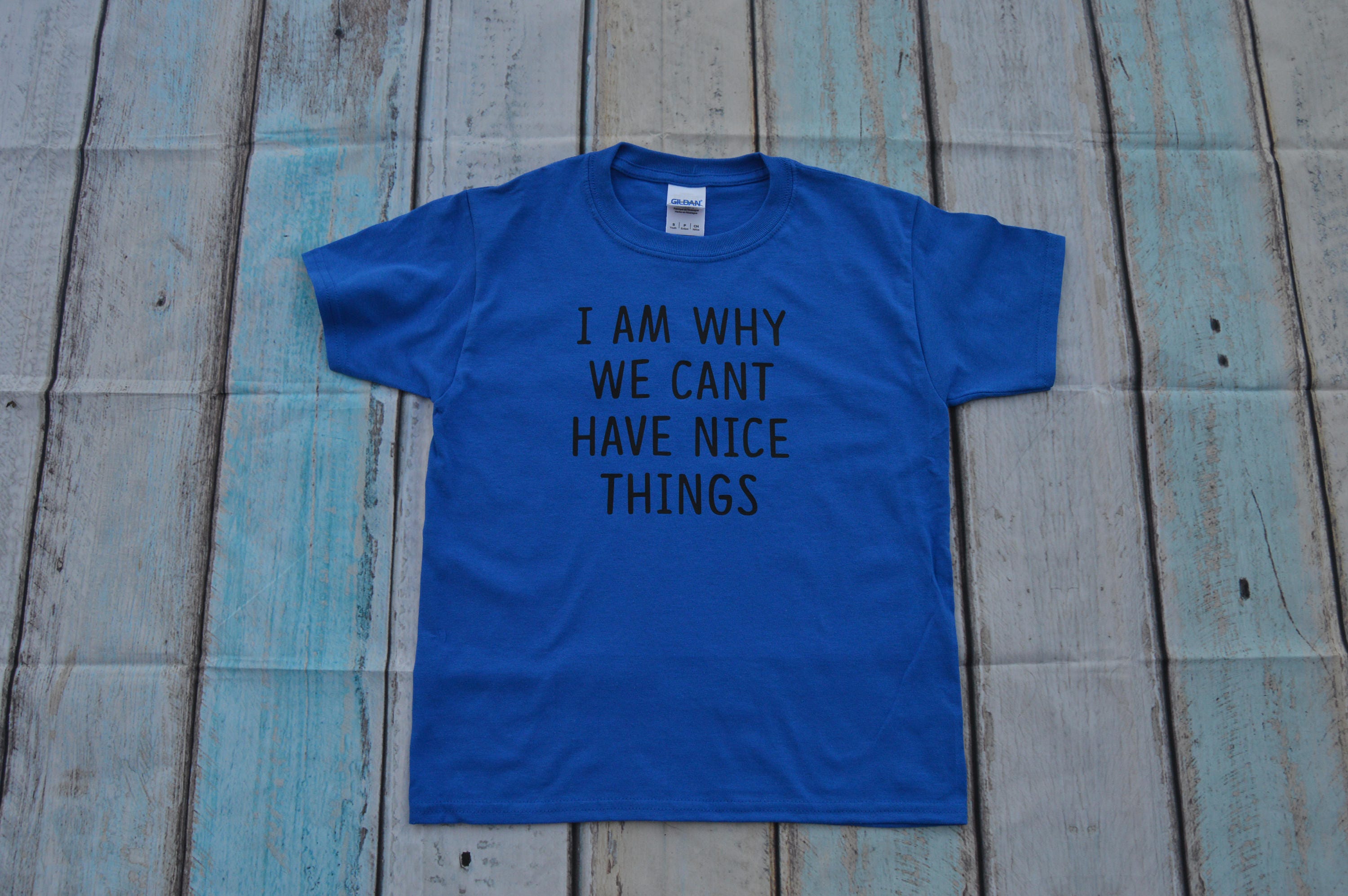 I Am Why We Cant Have Nice Things Shirt Shirt Gift Kids