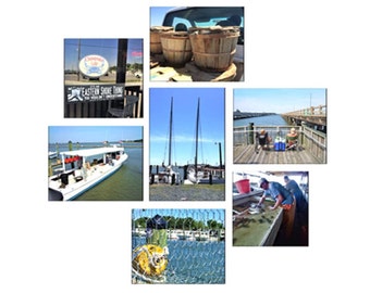Canvas Photo Collage - "It's An Eastern Shore Thing"