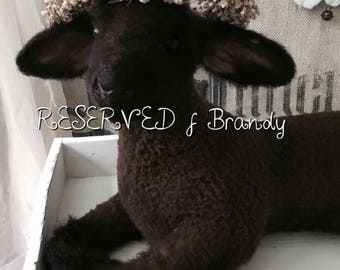 RESERVED f B! Do not buy! Vintage lamb, antique lamb, taxidermy, from france