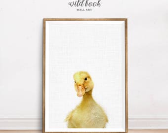 Nursery Wall Art, Duckling Print, Nursery Decor, Duck Print, Animal Nursery, Animal Photography, Woodland Animal Portrait, Digital Print
