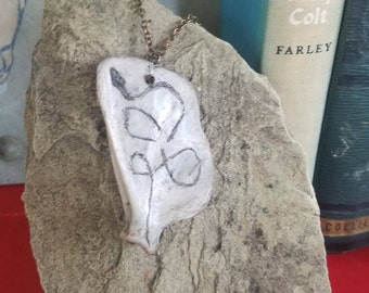 5 Mixed Small Scapula Shoulder Blades Assorted Sizes