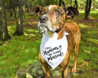 Dog Engagement Announcement, Dog Engagement Photos, Engagement Photo Prop, Personalized Dog Bandana, Wedding Dog Bandana, Engagement Bandana