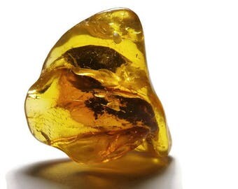 P76 / natural amber pendant