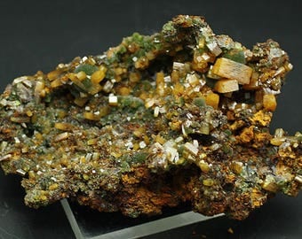 Wulfenite crystals with Mimetite, Mexico - Mineral Specimen for Sale
